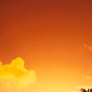 Meet your Posher, Isai